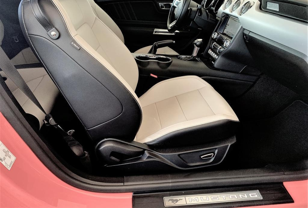 Ford Mustang. Půjčovna aut. Půjčení sportovního vozu Plzeň.