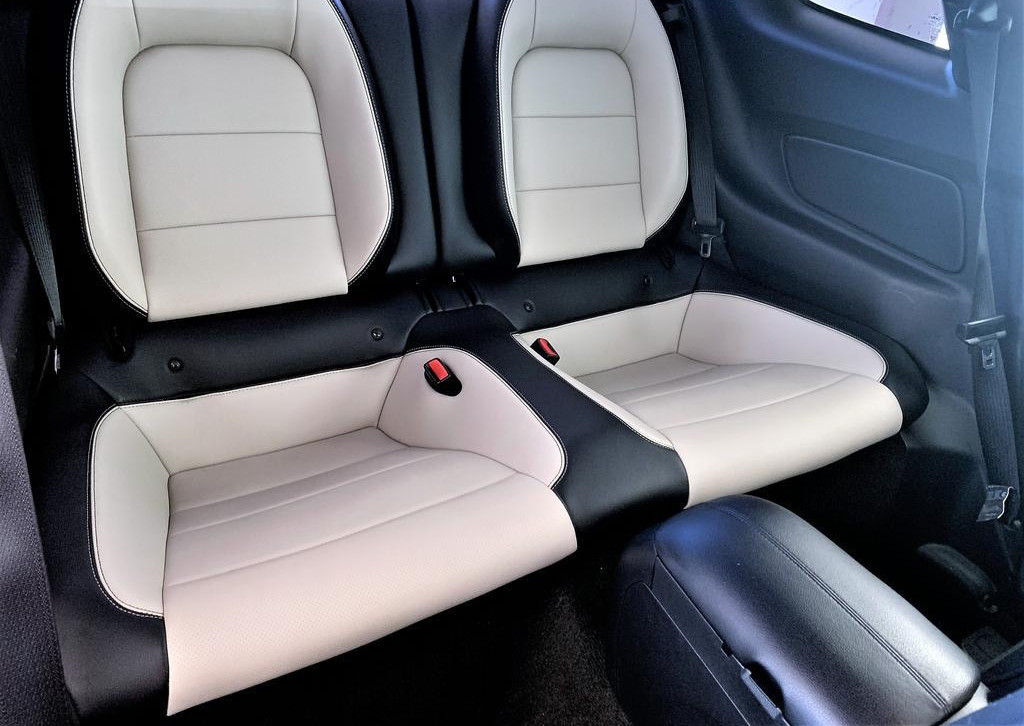 Ford Mustang. Půjčovna aut. Půjčení sportovního vozu Plzeň.