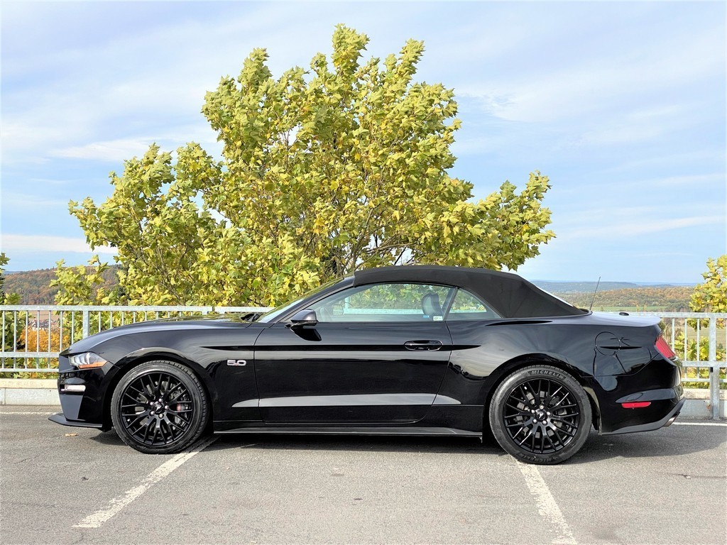 Ford Mustang. Půjčovna aut. Půjčení sportovního vozu Plzeň.